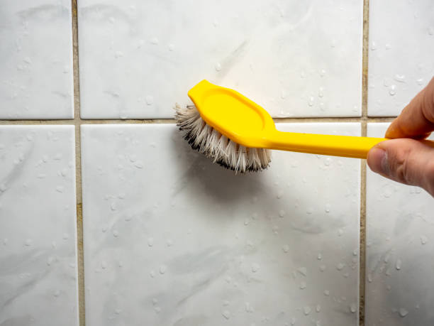 Best Mold Testing  in Roswell, NM