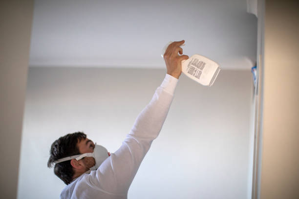 Best Mold Testing  in Roswell, NM