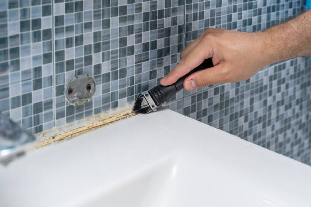 Best Mold Removal and Inspection  in Roswell, NM