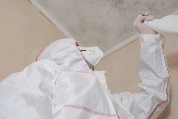 Best Mold Testing  in Roswell, NM